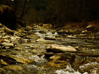 Valea-Doftanei-14