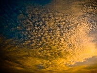 2_mai_2011